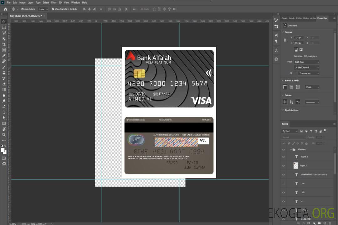 Carte de crédit visa platine de la Banque pakistanaise d'Alfalah template Carte de crédit visa platine de la Banque pakistanaise d'Alfalah template